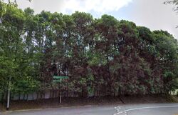 Binjai Park (D21), Detached #561635291